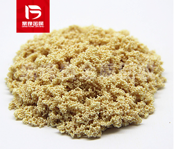 Tái chế nhựa bạch kim Ưu điểm và sử dụng chính của nhựa hấp phụ bạch kim